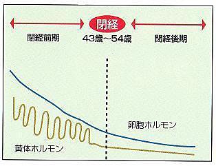 漢方 自然薬によるアンチエイジング